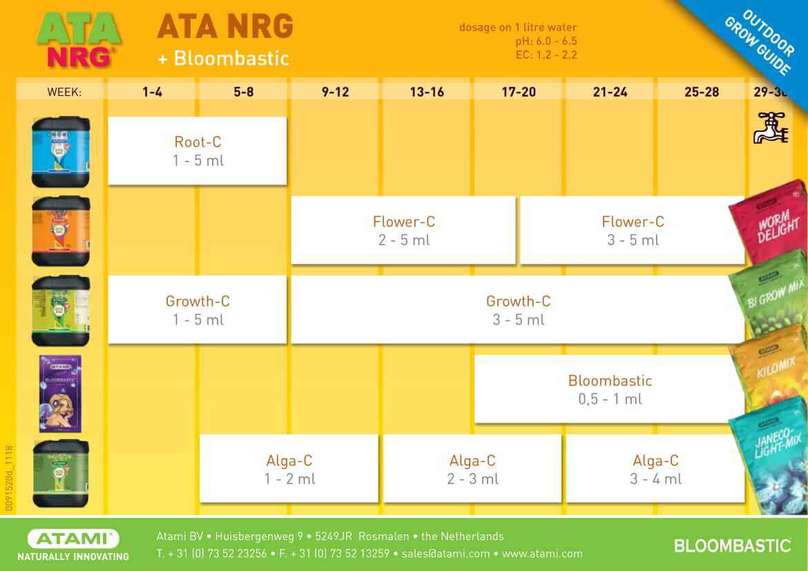 Tabla Atami NRG y Bloombastic en Exterior